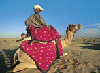 Camel Safari Jaisalmer 